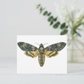 Doodse Hawk Moth, Large Moth, Moth Print Briefkaart (Staand voorkant)