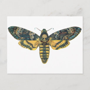 Doodse Hawk Moth, Large Moth, Moth Print Briefkaart