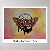 Doodse Hawk Moth Poster (Voorkant)