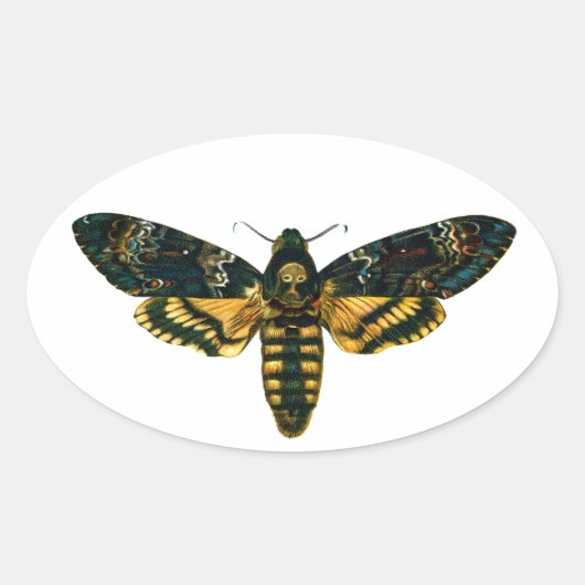 Doodse hoofdmoth ovale sticker (Voorkant)