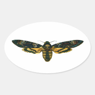 Doodse hoofdmoth ovale sticker