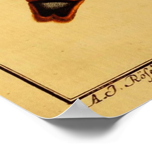 Doodse hoofdmoth poster (Hoek)