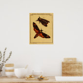 Doodse hoofdmoth poster (Keuken)