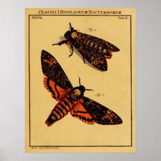 Doodse hoofdmoth poster