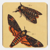Doodse hoofdmoth vierkante sticker (Voorkant)