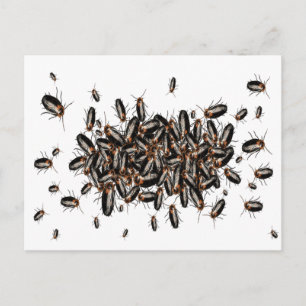 Doodshoofd: Cockroaches Briefkaart