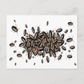Doodshoofd: Cockroaches Briefkaart (Voorkant)
