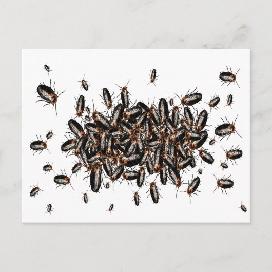 Doodshoofd: Cockroaches Briefkaart (Voorkant)