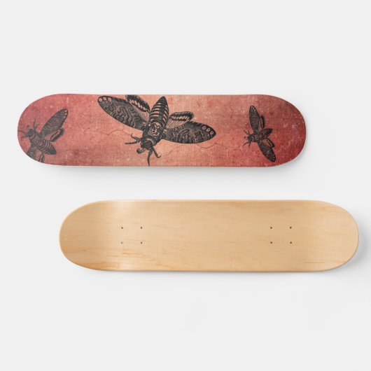 Doodshoofd Hawk Moth Skateboard (Horizontaal)