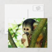 Doodshoofdaapje Eet een Wafer Biscuit Briefkaart (Voorkant / Achterkant)