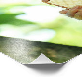 Doodshoofdaapje Eet een Wafer Biscuit Foto Afdruk (Hoek)