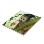 Doodshoofdaapje Eet een Wafer Biscuit Tegeltje (Zijkant)