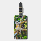 Doodshoofdaapjes in Manuel Antonio NP - Costa Rica Bagagelabel (Voorkant verticaal)