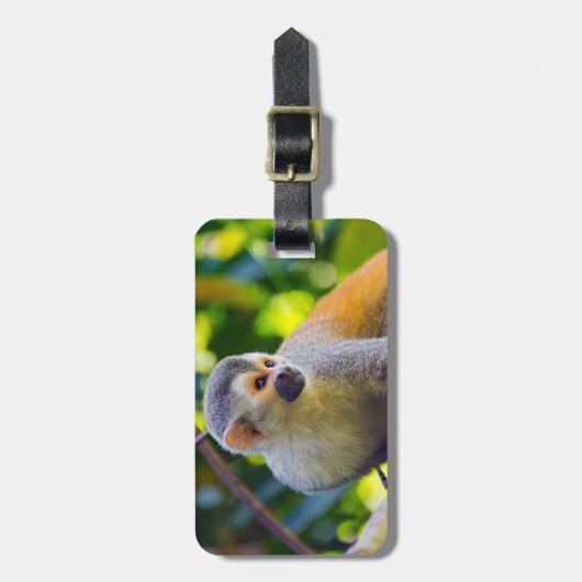 Doodshoofdaapjes in Manuel Antonio NP - Costa Rica Bagagelabel (Voorkant verticaal)