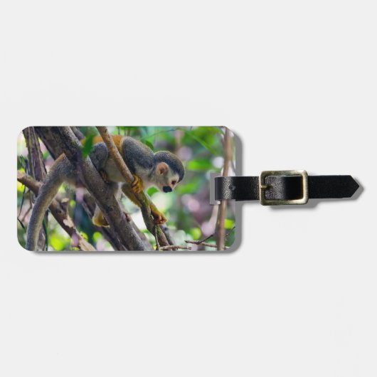 Doodshoofdaapjes in Manuel Antonio NP - Costa Rica Bagagelabel (Voorkant horizontaal)