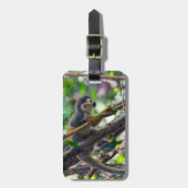 Doodshoofdaapjes in Manuel Antonio NP - Costa Rica Bagagelabel (Voorkant verticaal)