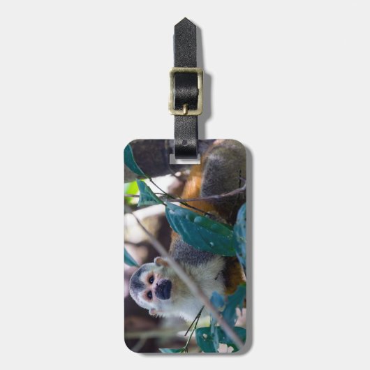 Doodshoofdaapjes in Manuel Antonio NP - Costa Rica Bagagelabel (Voorkant verticaal)