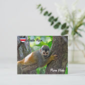 Doodshoofdaapjes in Manuel Antonio NP - Costa Rica Briefkaart (Staand voorkant)