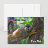 Doodshoofdaapjes in Manuel Antonio NP - Costa Rica Briefkaart (Voorkant / Achterkant)