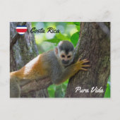Doodshoofdaapjes in Manuel Antonio NP - Costa Rica Briefkaart (Voorkant)