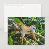Doodshoofdaapjes in Manuel Antonio NP - Costa Rica Briefkaart (Voorkant / Achterkant)