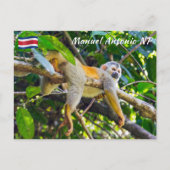 Doodshoofdaapjes in Manuel Antonio NP - Costa Rica Briefkaart (Voorkant)