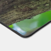 Doodshoofdaapjes in Manuel Antonio NP - Costa Rica Bureaumat (Hoek)