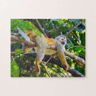 Doodshoofdaapjes in Manuel Antonio NP - Costa Rica Legpuzzel