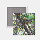 Doodshoofdaapjes in Manuel Antonio NP - Costa Rica Magneet (Voorkant / Achterkant)