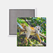 Doodshoofdaapjes in Manuel Antonio NP - Costa Rica Magneet (Voorkant / Achterkant)