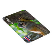 Doodshoofdaapjes in Manuel Antonio NP - Costa Rica Magneet (Rechterzijde)