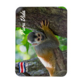 Doodshoofdaapjes in Manuel Antonio NP - Costa Rica Magneet (Verticaal)