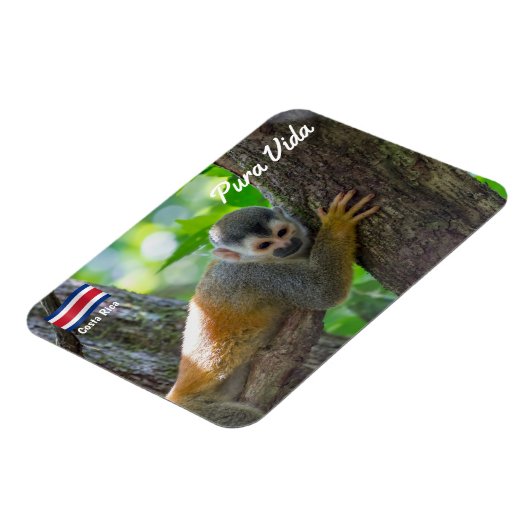 Doodshoofdaapjes in Manuel Antonio NP - Costa Rica Magneet (Linkerzijde)