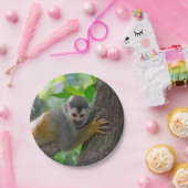 Doodshoofdaapjes in Manuel Antonio NP - Costa Rica Papieren Bordje (Feest)