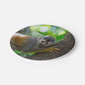 Doodshoofdaapjes in Manuel Antonio NP - Costa Rica Papieren Bordje (Gekanteld)