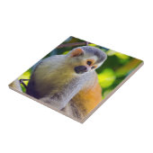 Doodshoofdaapjes in Manuel Antonio NP - Costa Rica Tegeltje (Zijkant)