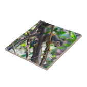 Doodshoofdaapjes in Manuel Antonio NP - Costa Rica Tegeltje (Zijkant)