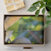 Doodshoofdaapjes in Manuel Antonio NP - Costa Rica Tissuepapier (Geschenk)