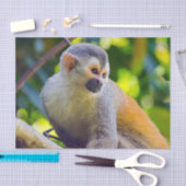 Doodshoofdaapjes in Manuel Antonio NP - Costa Rica Tissuepapier (Craft)