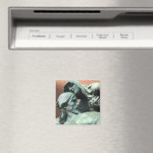 doodvonnis magneet (Insitu (Vaatwasser))