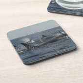 doodwalvis bier onderzetter (Linkerzijde)