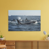 doodwalvis canvas afdruk (Insitu (Woonkamer))