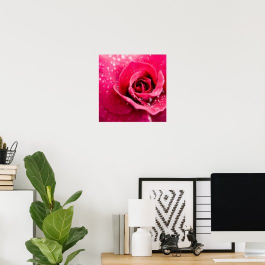 Doofdruppels op Roos Poster (Thuiskantoor)