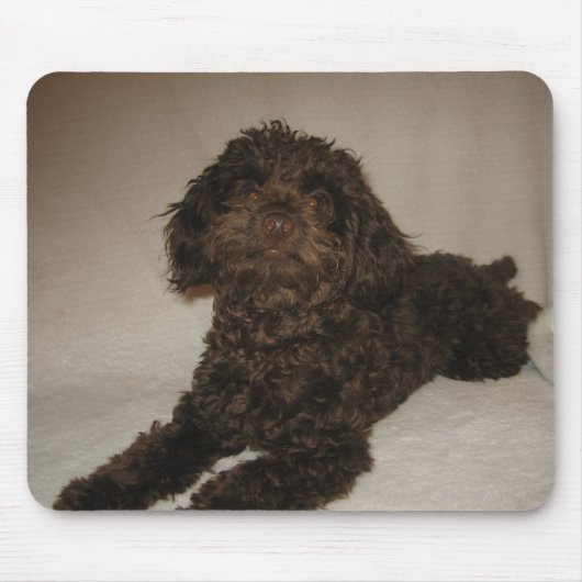 doogy mousepad muismat (Voorkant)