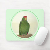 Dooley 1 muismat (Met muis)