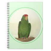 Dooley the Parrot Notitieboek (Voorkant)