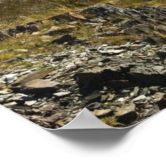 Doolough Poster (Hoek)