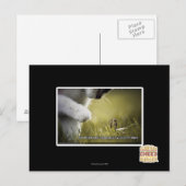 Doom op jezelf briefkaart (Voorkant / Achterkant)