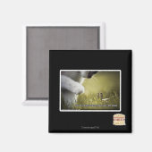 Doom op jezelf magneet (Voorkant / Achterkant)