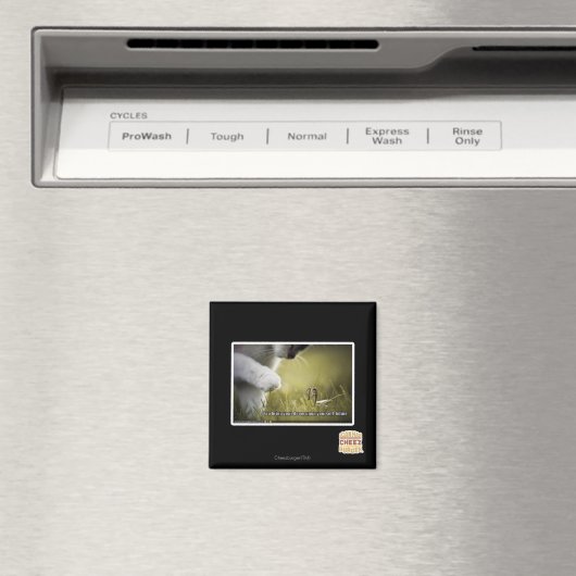 Doom op jezelf magneet (Insitu (Vaatwasser))